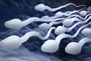 Erkeklerde kısırlık nasıl anlaşılır
