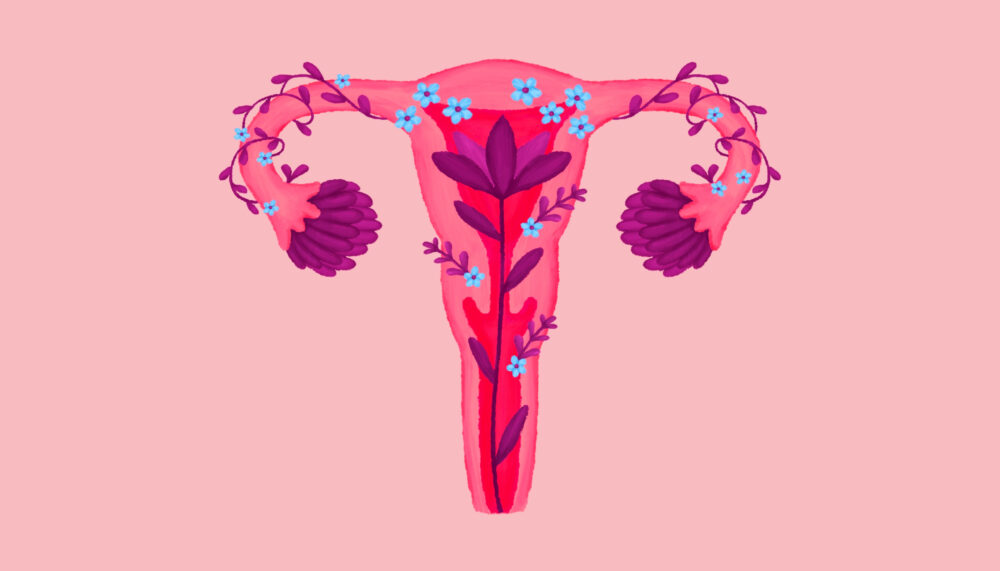 Endometriyal Hiperplazi nedir?