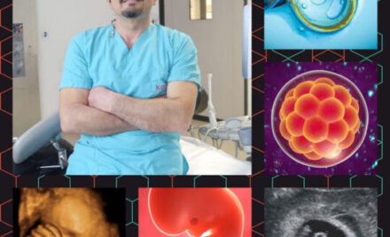 AMH Testi Nedir? Anti-Müllerian Hormon Hakkında Merak Edilenler