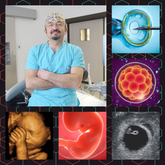 AMH Testi Nedir? Anti-Müllerian Hormon Hakkında Merak Edilenler